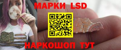 mdpv Гатчина