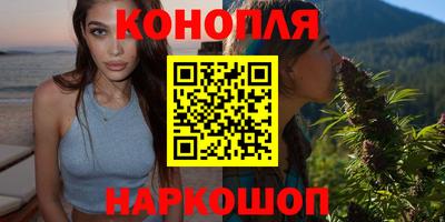 mdpv Гатчина