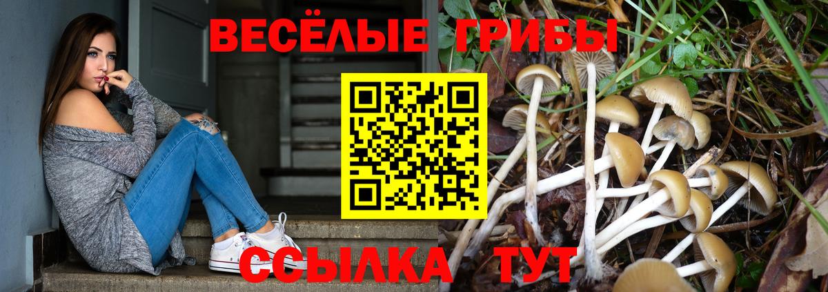 Щёкино  Галлюциногенные грибы мухоморы  Вход с VPN 